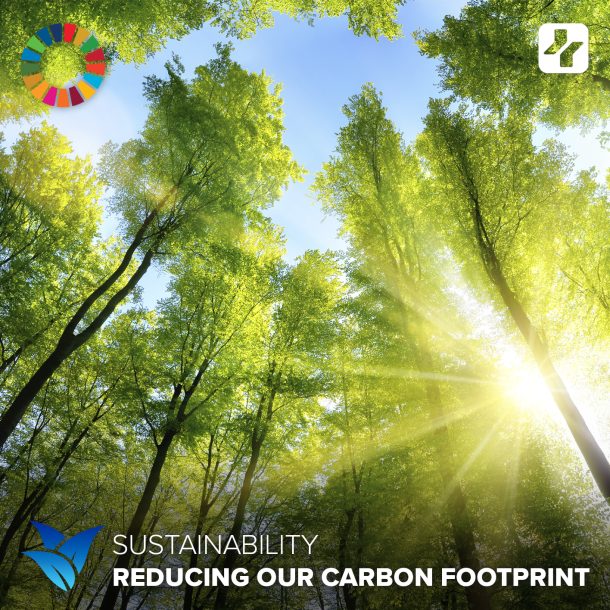 sustainable development goals. reducing carbon footprint