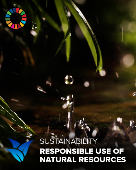 reduce carbon footprint 