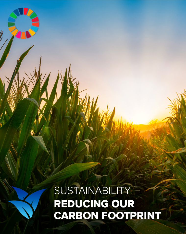 Our sustainable commitment